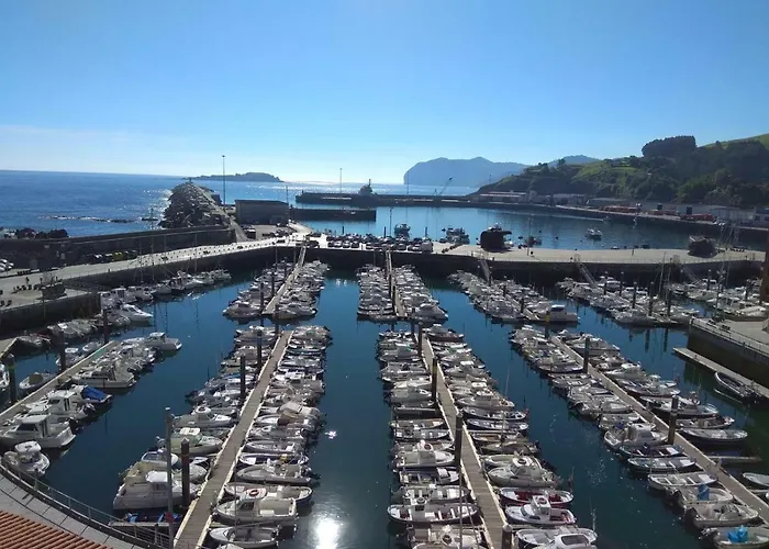Torrontero Con Vistas Al Mar *